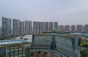 世紀城市國際(00355.HK)：溫子偉獲委任執行董事