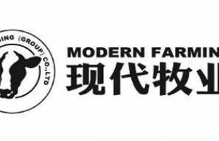 現代牧業(01117.HK)預期2023年淨利潤約1.6億-2億元 同比減少約66%~72%