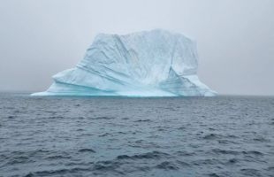 国际最新研究：海绵记录表明全球变暖或已升温超过1.5°C