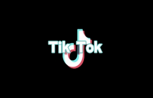 TikTok與HaystackID和OnDefend建立合作