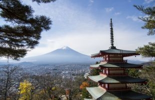 今年第一季度韩国本土航企国际航班客运量为去年同期16倍