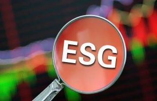 为什么汽车企业都死磕“ESG”？