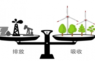 双碳丨非洲推动碳市场，出路还是歧路？