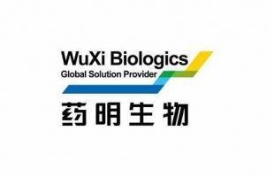 药明生物大涨9.71%，CRO行业复苏信号显现