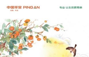 马明哲：再造「One Pingan一个平安」！