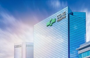 手握320万吨碳信用资产的中国碳中和如何完成沙场秋点兵