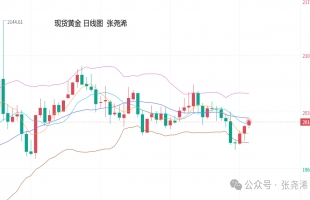 张尧浠：通胀数据反超预期、黄金保持震荡回落趋势操作