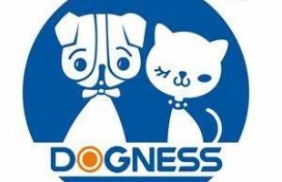 Dogness 向慈善行动捐款，关注宠物安全