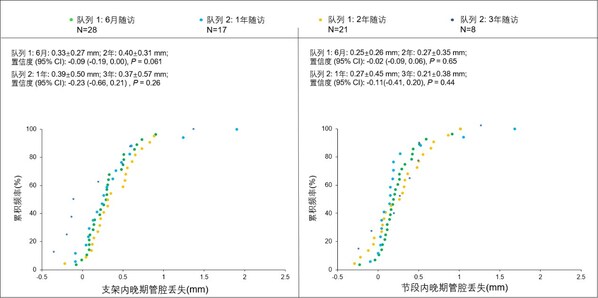 图1. 支架内和节段内晚期管腔丢失（LLL）